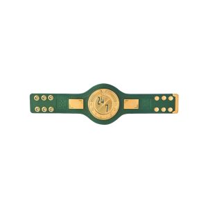 24/7 Championship Mini Replica Title Belt